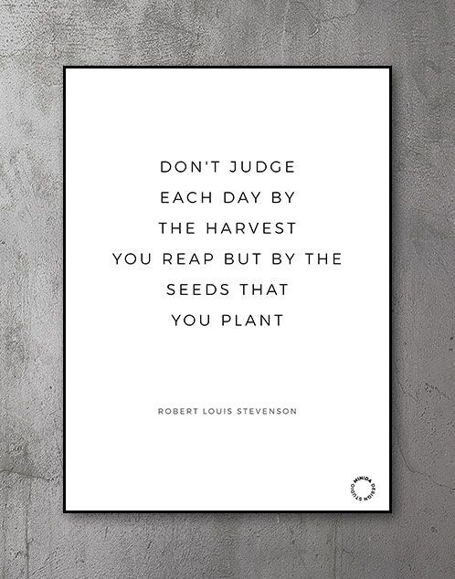Plakat - The Seeds You Plant